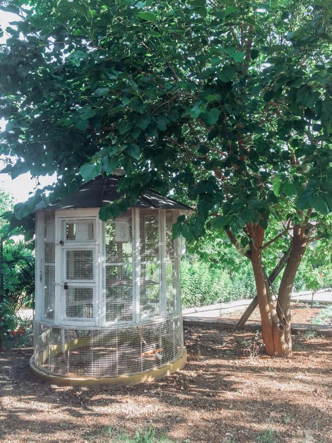 Agrilia Maison Razáta Buitenkant foto